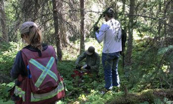 Chinooks 2nd Generation Forest Stewardship Plan (January 2022-2027)