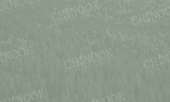 Chinooks 5-Year Harvesting Operational Plan