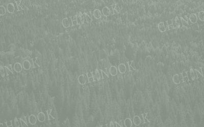 Chinook Community Forest 2018-19 Annual Report